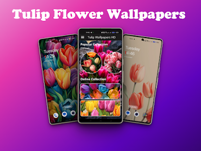 Tulip Wallpapers Offline HD