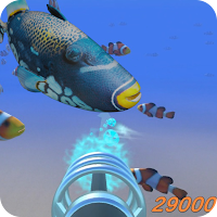 Catch fishes