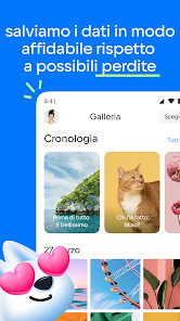 Immagine screenshot