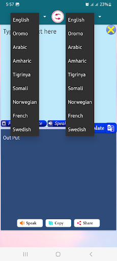 OromoEnglishAmharic Translator Screen 2