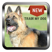 How to Train my Dog Training Dog Offline