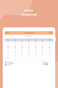 Ekrano kopijos vaizdas