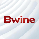 Bwine Mini icon