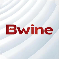 Bwine Mini