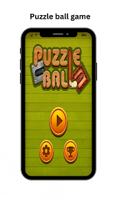Puzzle ball game