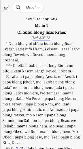 Android application Baebol Long Bislama - Bible screenshort