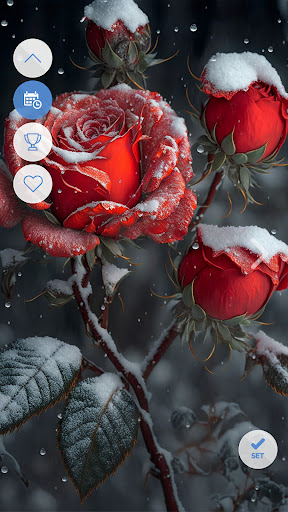 پیش نمایش برنامه