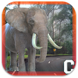 Big Elephant Simulator icon