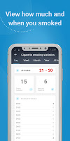 screenshot of Cigarette counter