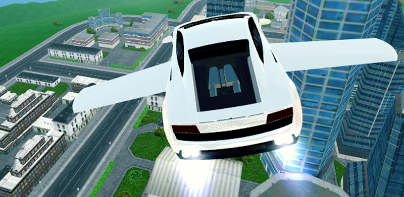 Flying Car Simulator