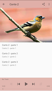 Captura de Pantalla 8 Canto Pinzon android