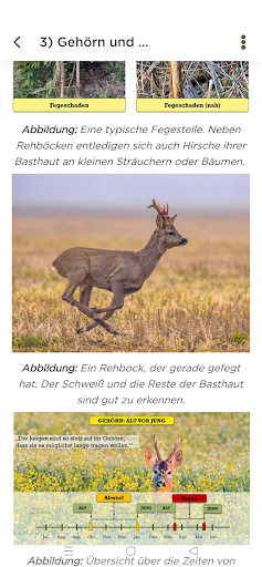 Jägerschmiede Screen 3