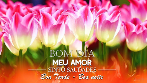 Portuguese Morning Night Love