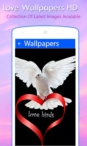 Love Wallpapers HD Screen 2