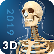 Top 25 Medical Apps Like My Skeleton Anatomy - Best Alternatives