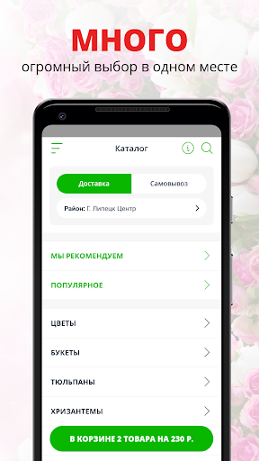 Android application Зелёная лавка | Липецк screenshort