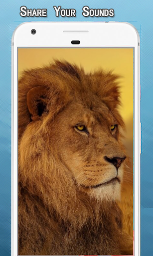 Lion Sounds Ringtone Screen 2