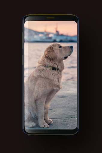 Dog Wallpaper HD, GIF Screen 3