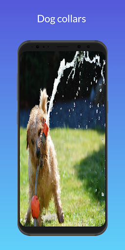 Android application Cute Dog Accessories screenshort