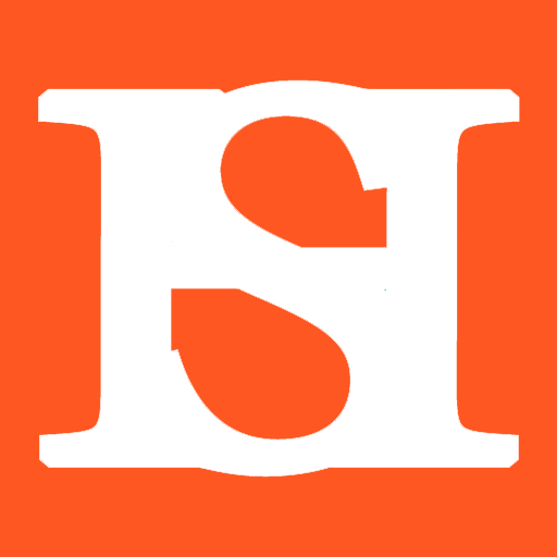 Hindi Village Story logo