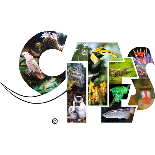 Cites Ghana logo