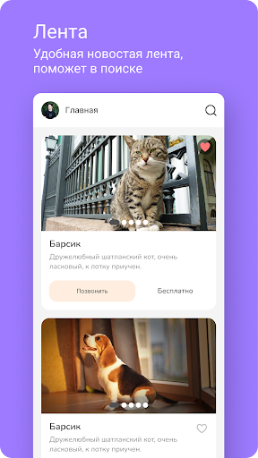Pets | Поиск домашних животных Screen 3