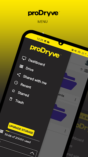 proDryve Screen 3