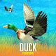 Duck Hunting Season 2021: Duck Shooter