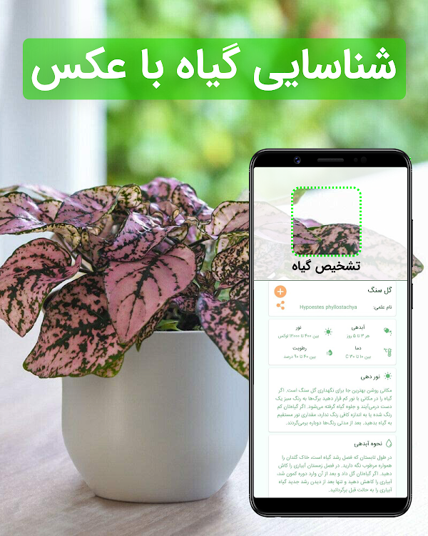 گل بین | شناسایی گیاه با عکس - 97.0.0 - (Android)