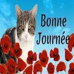 Cover Image of Download Bonne Journée 2021 1.0 APK
