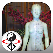 Top 34 Health & Fitness Apps Like Qigong for Women (YMAA) - Best Alternatives