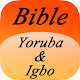Yoruba & Igbo Bible Install on Windows
