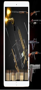 Gun Sound Simulator and Laser