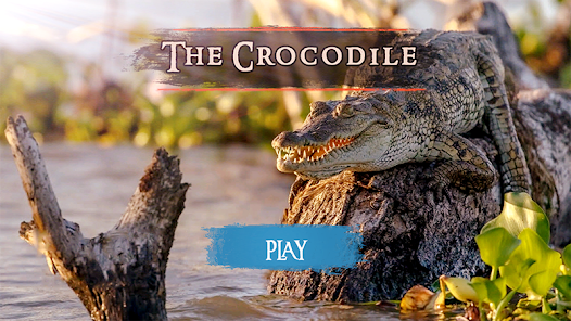 Jeu Crocodile : Jeux de Chasse – Applications sur Google Play