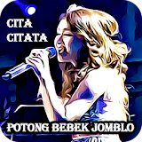 Mp3 Potong Bebek Jomblo Cita Citata icon
