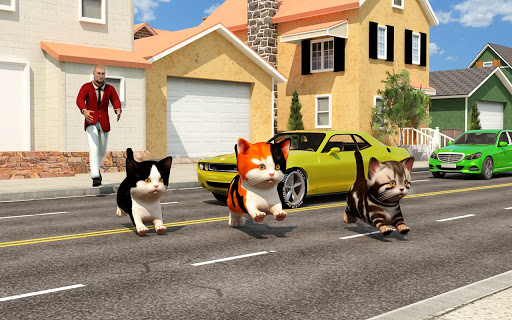 Stray Cat Simulator Cute Kitten Rescue Games 2020