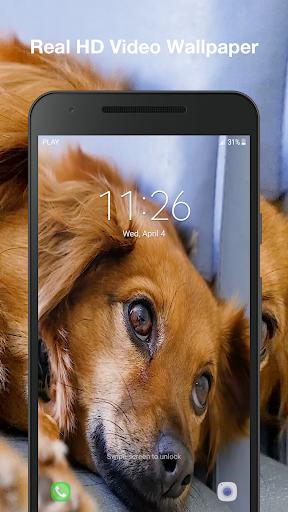 Dog Live Wallpaper Screen 3