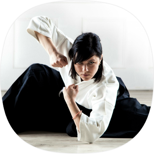 Aikido Guide - AppWisp.com