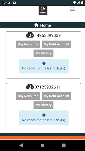Paymeter Prepaid Screen 2