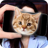Face Scanner Cats Simulator icon