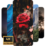 Cover Image of Download 4K Mobile Wallpapers Amoled - HD Mobile Wallpapers 5.2.0 APK
