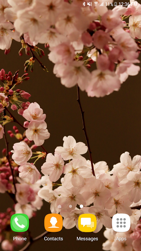 Sakura Lock Screen Screen 3