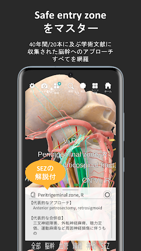 脳観 Screenshot 2 - AppWisp.com