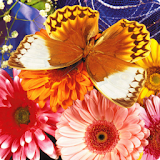 Butterfly Fluttering Puzzle icon