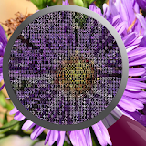 Image to ASCII icon
