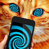 Hypnosis Cat Astral Prank icon