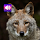Animal: Sounds & Ringtones