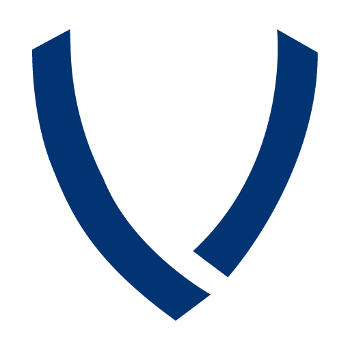 Vogel: data privacy & security logo