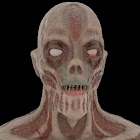 Zombie Evil Horror Origins 1.2.5