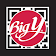 Big Y myExpress Checkout icon